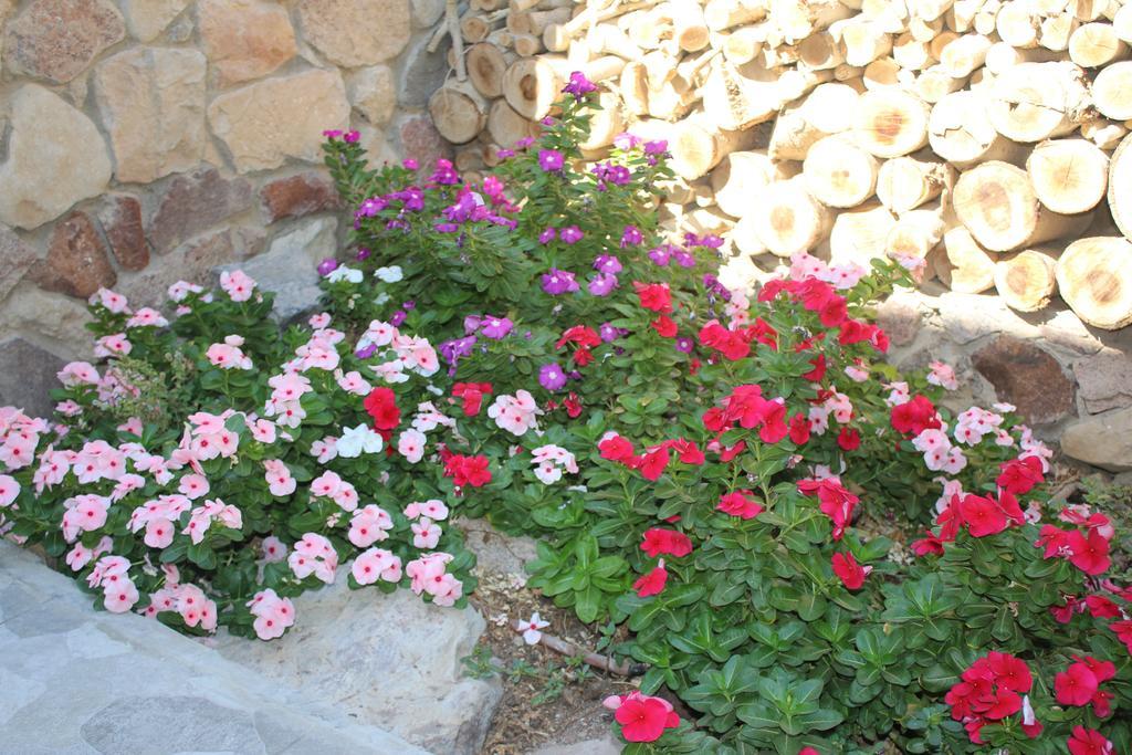 Modern&Quiet Place Eilat Ngoại thất bức ảnh